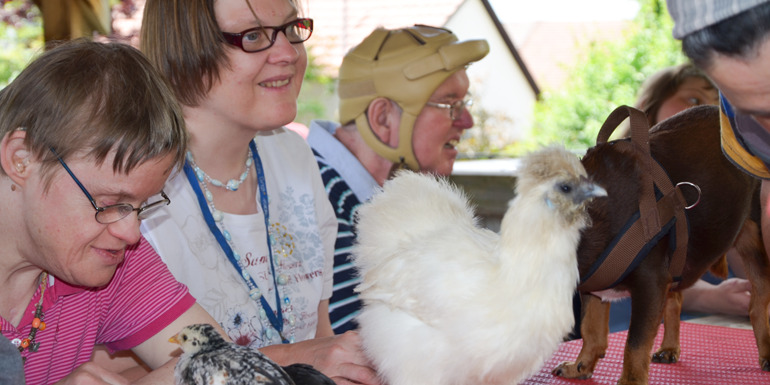 Personen mit Behinderungen sitzen an einem Tisch und interagieren mit verschiedenen Tieren.